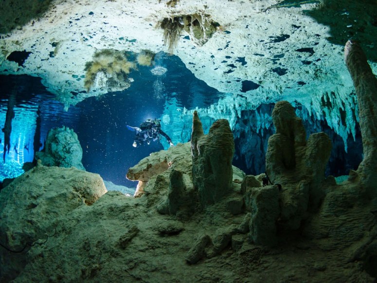 Cenote Dos Ojos is one of the best beginner scuba diving spots in Mexico