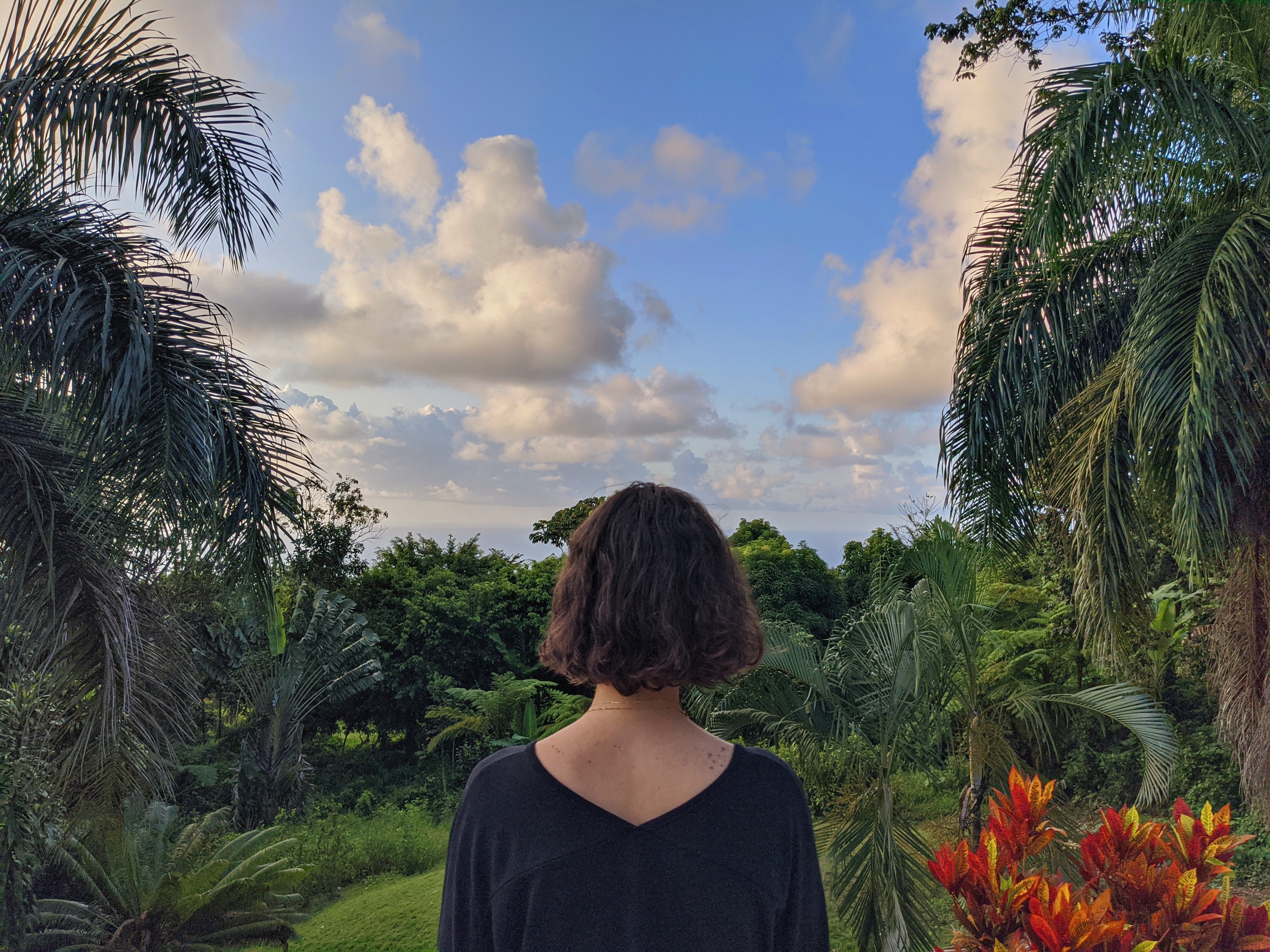 A woman enjoying the lush jungles of the Dominican Republic