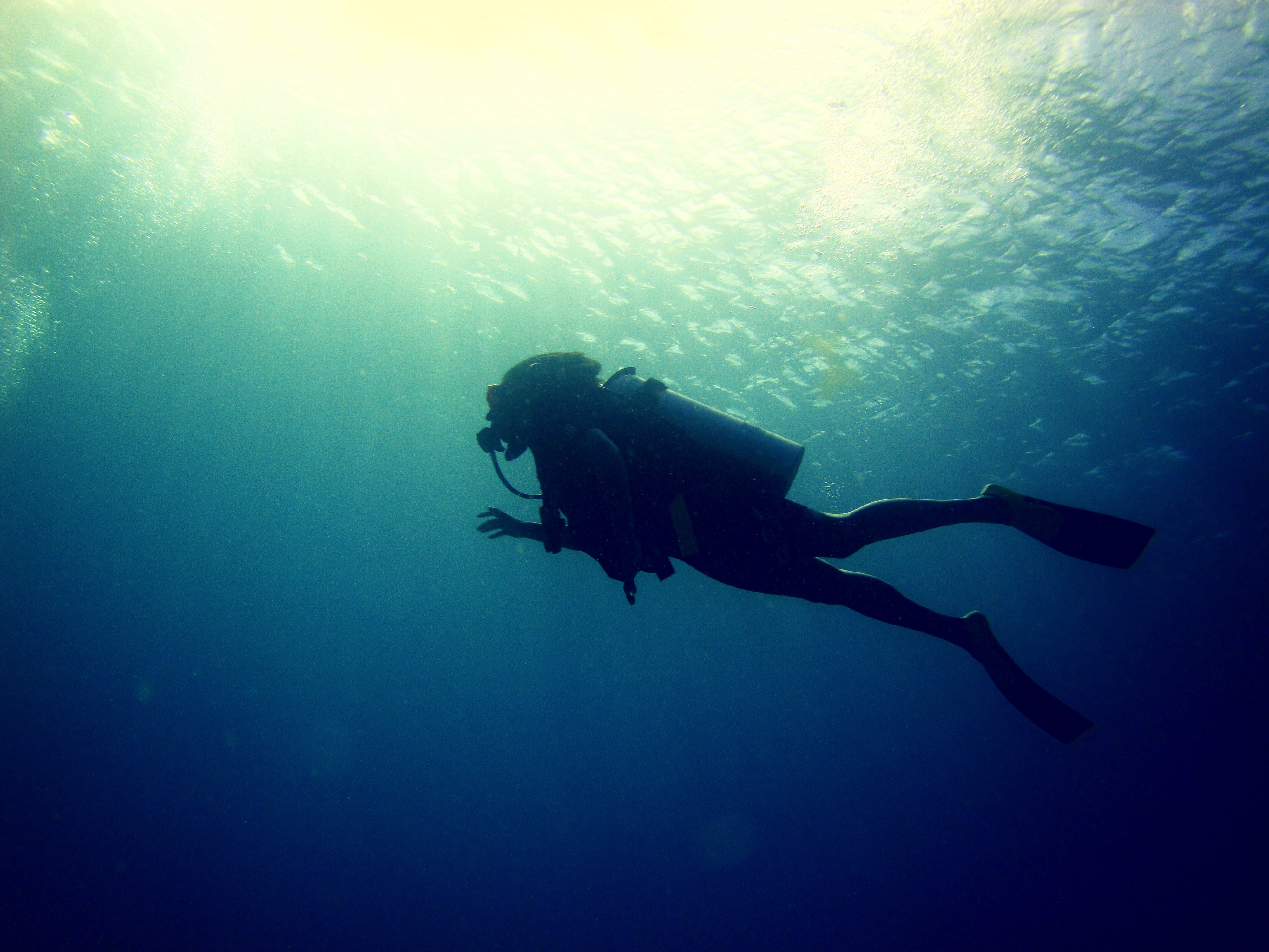 A wanderlust traveler underwater exploring the Caribbean oceans