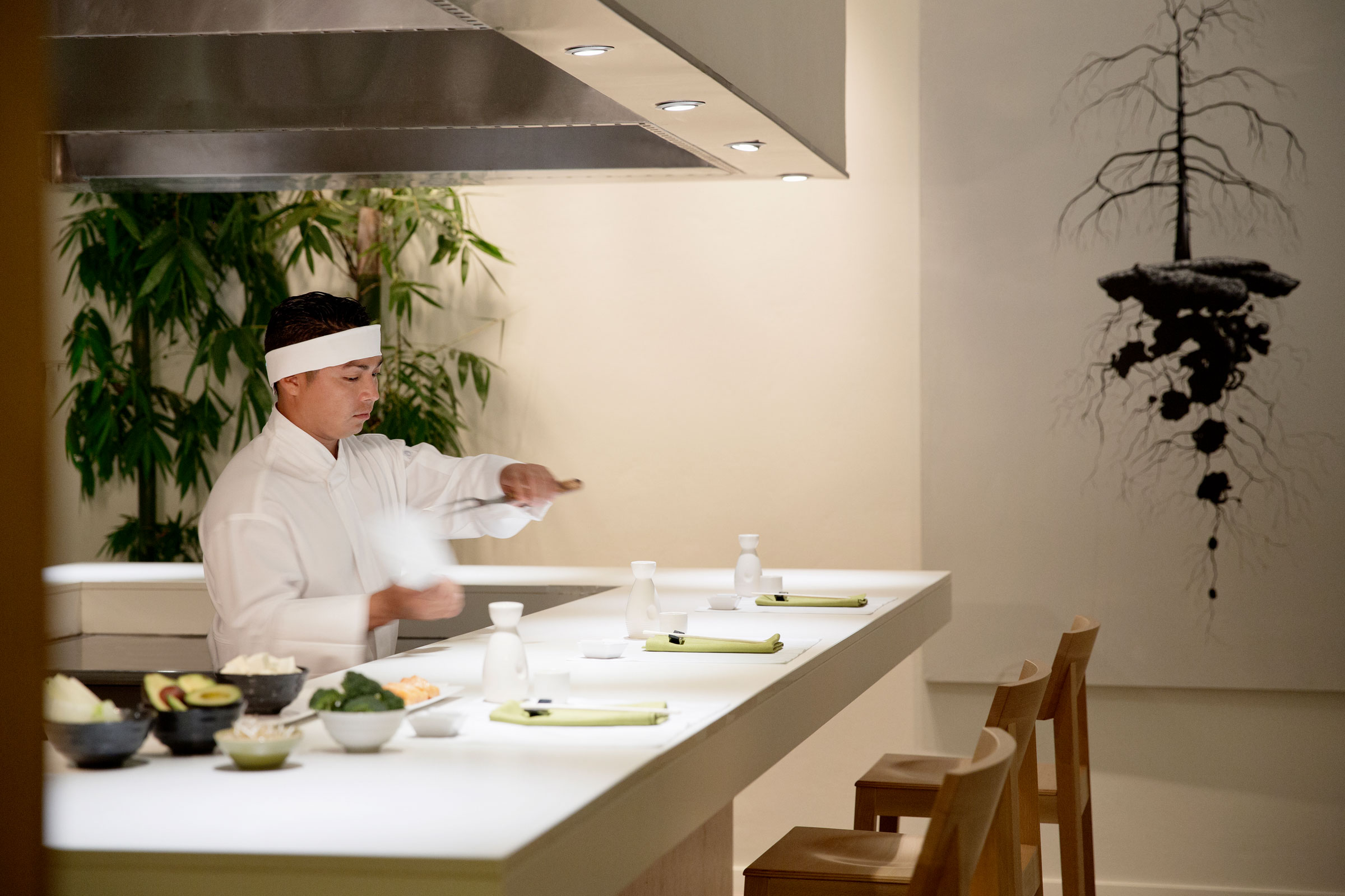 Shoji Restaurant at Finest Playa Mujeres offers you authentic Asian dishes